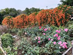 -东莞植物园