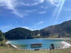 -武陵山森林公园