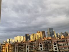 -十里铺铁板鱿鱼