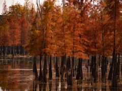 -白鹭湾湿地公园