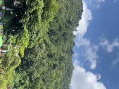 -黔灵山公园