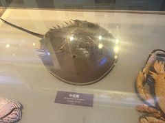 -舟山博物馆
