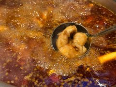 -肖肖酸萝卜鱼火锅(总店)