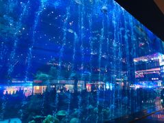 -成都浩海立方海洋公园