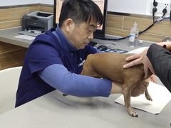 -爱侣宠医·鹦鹉专科·小型哺乳类·异宠专科(灵石路店)