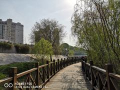 -沙澧河风景区