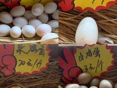 -食家鸽园