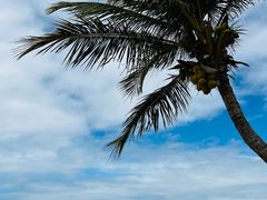 -惠州金海湾嘉华度假酒店