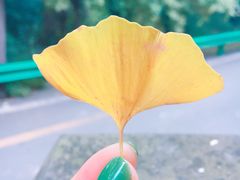 -金堂县云顶石城风景区