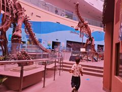 -陕西自然博物馆