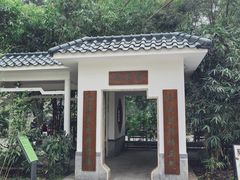 -晓港公园