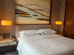 -上海嘉定喜来登酒店