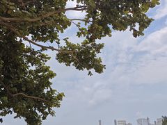 -南丫岛