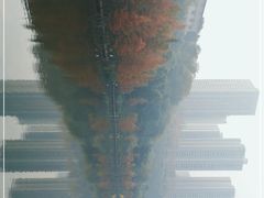 -重庆彩云湖湿地公园