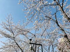 -龙美术馆西岸馆-停车场