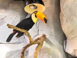 -Zoolung Zoolung动物主题公园(海信广场店)