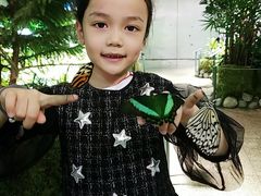 -美国自然历史博物馆
