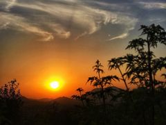 -白水寺森林公园