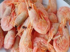 -原柳滩高台阶涮羊肉