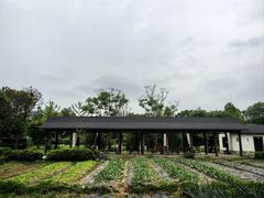 -石塘人家