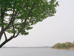 -丁香湖公园