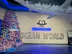 -重庆欢乐海底世界