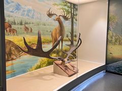 -北京麋鹿生态实验中心