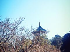 -无锡梅园公园