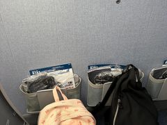 -全日本空输株式会社(上海办事处)