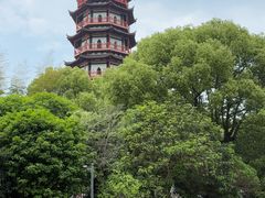-绳金塔