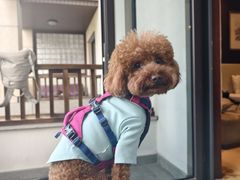 -余姚阳明温泉山庄