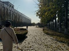 -北京国家会计学院