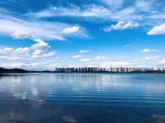-丁香湖公园