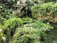 -大妙火锅·非物质文化遗产(东湖公园店)