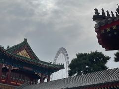 -天津大悲禅院