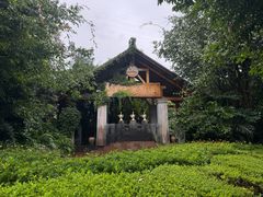 -腾冲洞山温泉村