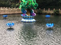 -普陀山慧济禅寺