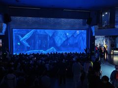 -上海海昌海洋公园-冰山北极馆