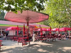 -朝阳公园游乐园