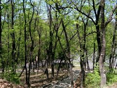 -帽儿山国家森林公园