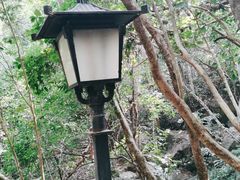 -亚龙湾热带天堂森林公园