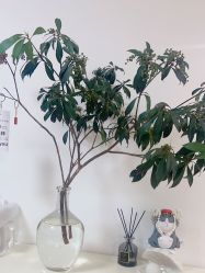 -美肤盾祛痘·问题肌头疗管理中心