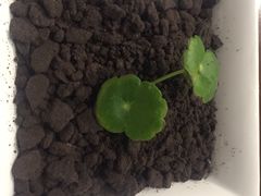 -炉鼎记私房菜(总店)