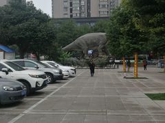 -陕西自然博物馆