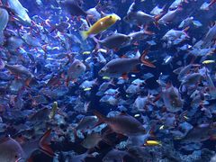 -成都浩海立方海洋公园