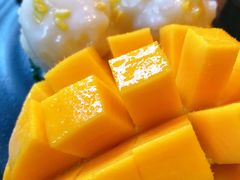 -Mango Tango