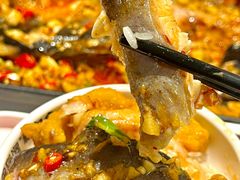 -黑猫馋纸包鱼(阳光店)