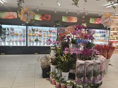 -盒马鲜生(枣园路店)