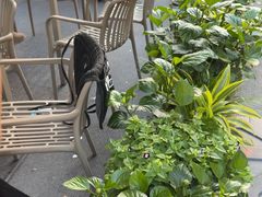 -地二手作鱼汤馄饨(上街里店)