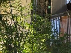 -留芳·文旅古月楼(老街店)